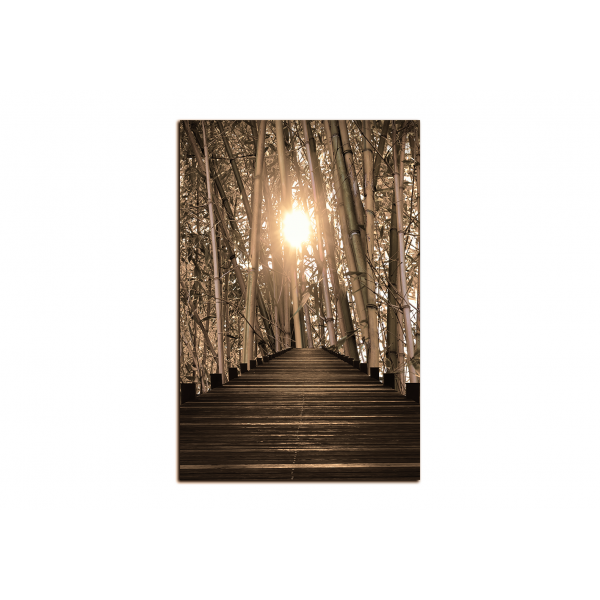 Obraz na plátně - Dřevěná promenáda v bambusovém lese - obdélník